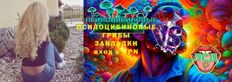 Галлюциногенные грибы Magic Shrooms  МЕГА ссылки  Кирс  как найти  